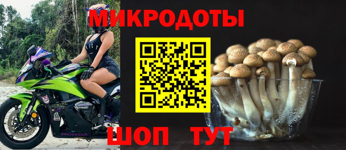 Псилоцибиновые грибы Cubensis Холмск