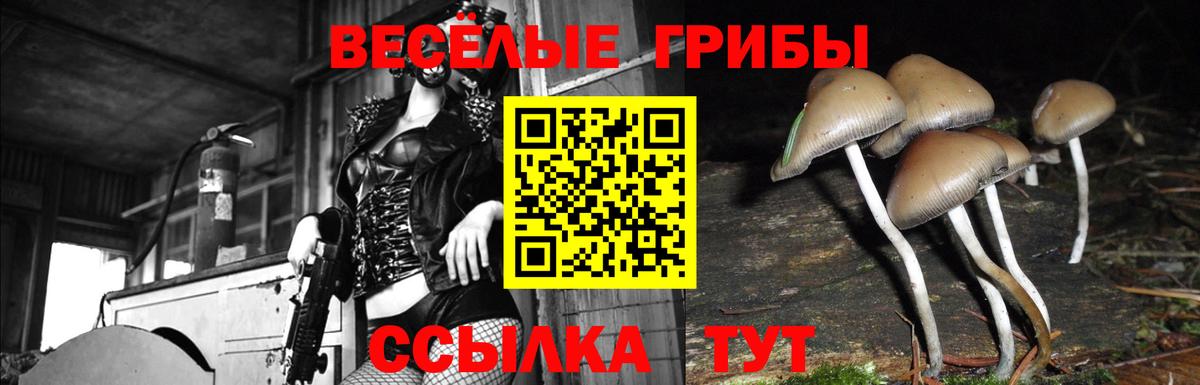 Галлюциногенные грибы мицелий  Вход с VPN  Холмск  Галлюциногенные грибы мицелий 